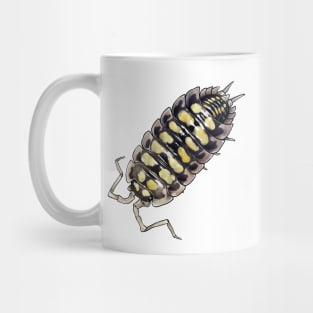 Porcellio haasi Isopod Mug